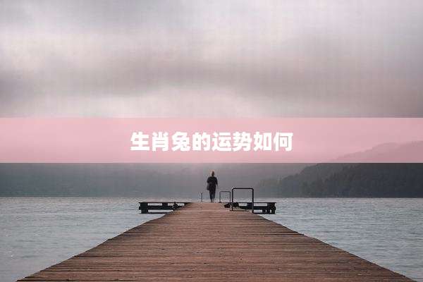 生肖兔的运势如何