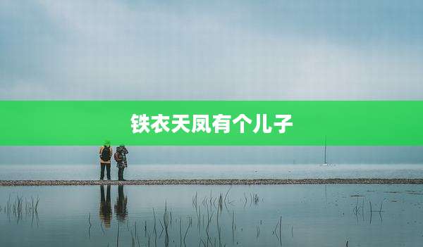 铁衣天凤有个儿子