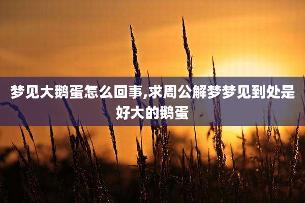 梦见大鹅蛋怎么回事,求周公解梦梦见到处是好大的鹅蛋