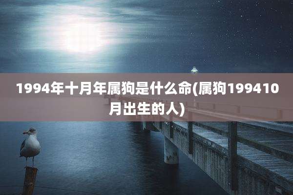 1994年十月年属狗是什么命(属狗199410月出生的人)