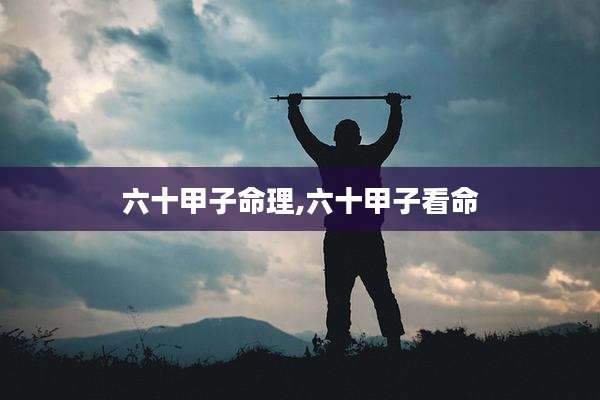 六十甲子命理,六十甲子看命