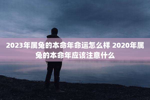2023年属兔的本命年命运怎么样 2020年属兔的本命年应该注意什么