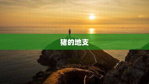 猪的地支