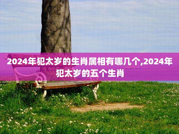 2024年犯太岁的生肖属相有哪几个,2024年犯太岁的五个生肖
