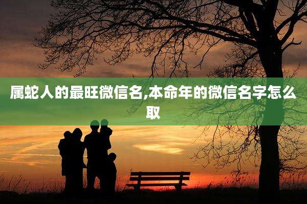 属蛇人的最旺微信名,本命年的微信名字怎么取
