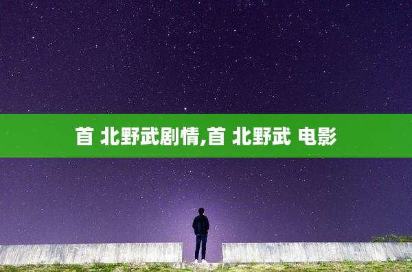 首 北野武剧情,首 北野武 电影