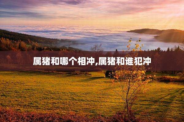 属猪和哪个相冲,属猪和谁犯冲