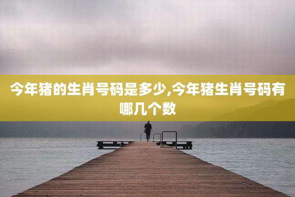 今年猪的生肖号码是多少,今年猪生肖号码有哪几个数