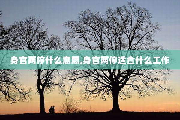 身官两停什么意思,身官两停适合什么工作