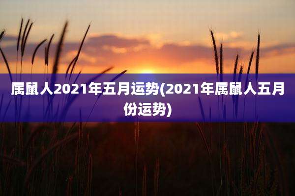 属鼠人2021年五月运势(2021年属鼠人五月份运势)