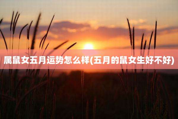 属鼠女五月运势怎么样(五月的鼠女生好不好)