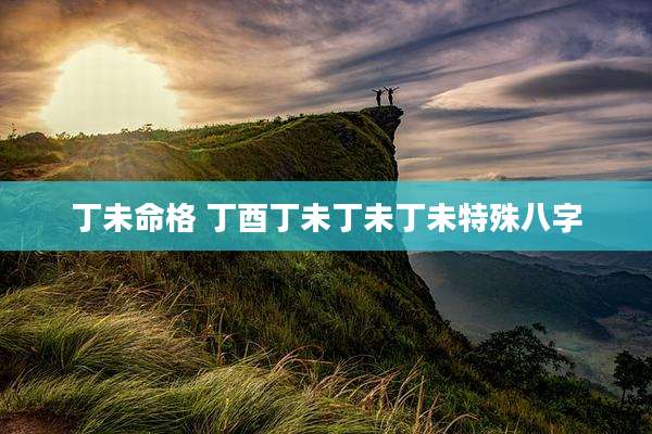 丁未命格 丁酉丁未丁未丁未特殊八字