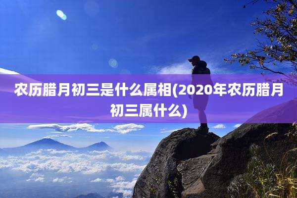 农历腊月初三是什么属相(2020年农历腊月初三属什么)