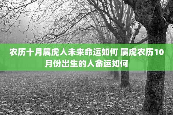 农历十月属虎人未来命运如何 属虎农历10月份出生的人命运如何