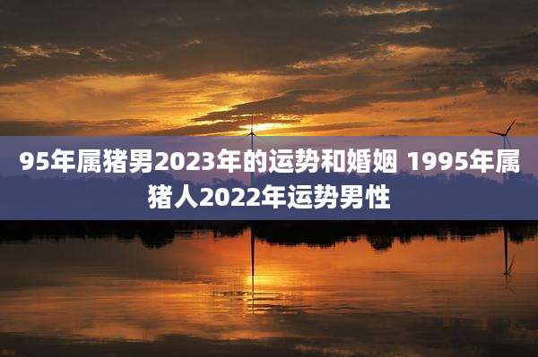 95年属猪男2023年的运势和婚姻 1995年属猪人2022年运势男性