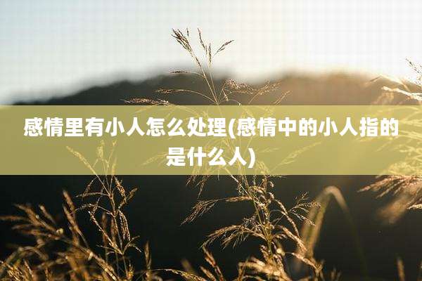 感情里有小人怎么处理(感情中的小人指的是什么人)