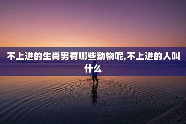 不上进的生肖男有哪些动物呢,不上进的人叫什么