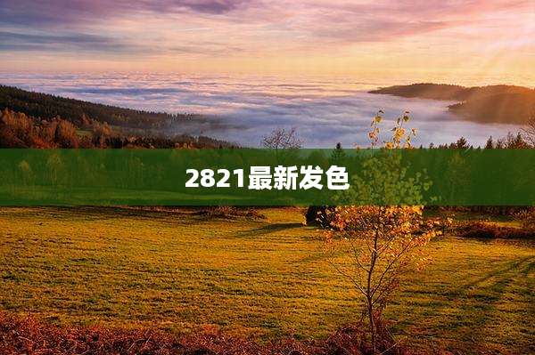 2821最新发色