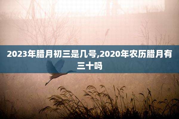 2023年腊月初三是几号,2020年农历腊月有三十吗
