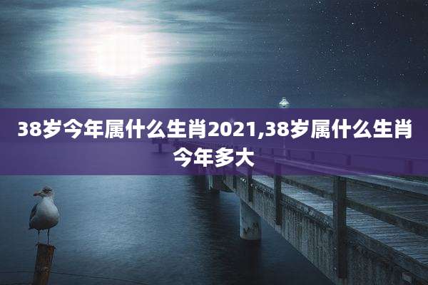 38岁今年属什么生肖2021,38岁属什么生肖今年多大