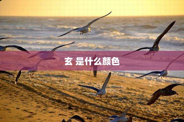 玄 是什么颜色