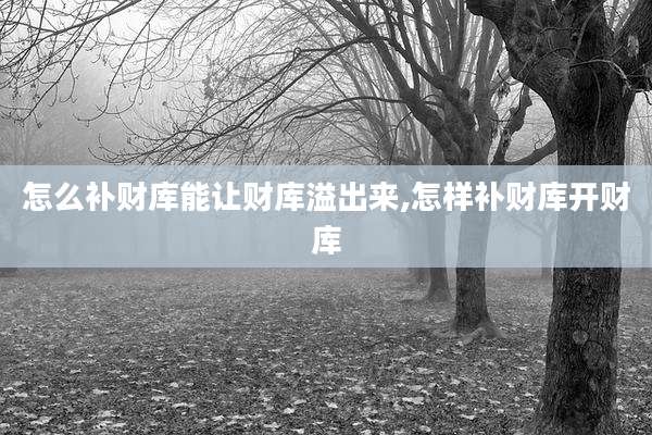 怎么补财库能让财库溢出来,怎样补财库开财库