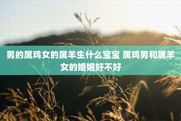 男的属鸡女的属羊生什么宝宝 属鸡男和属羊女的婚姻好不好