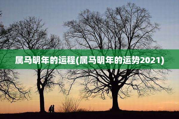 属马明年的运程(属马明年的运势2021)
