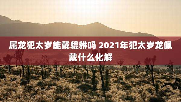 属龙犯太岁能戴貔貅吗 2021年犯太岁龙佩戴什么化解