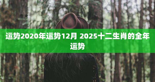 运势2020年运势12月 2025十二生肖的全年运势