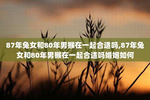 87年兔女和80年男猴在一起合适吗,87年兔女和80年男猴在一起合适吗婚姻如何