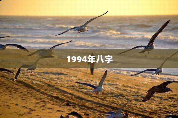 1994年八字