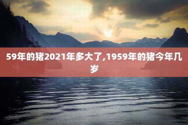59年的猪2021年多大了,1959年的猪今年几岁