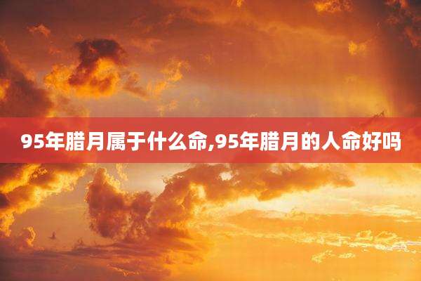 95年腊月属于什么命,95年腊月的人命好吗