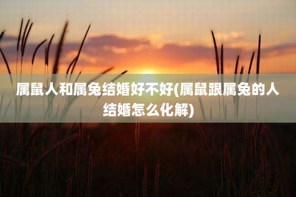 属鼠人和属兔结婚好不好(属鼠跟属兔的人结婚怎么化解)