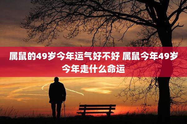 属鼠的49岁今年运气好不好 属鼠今年49岁今年走什么命运