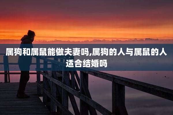 属狗和属鼠能做夫妻吗,属狗的人与属鼠的人适合结婚吗