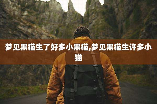 梦见黑猫生了好多小黑猫,梦见黑猫生许多小猫