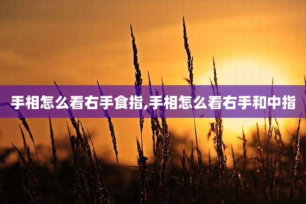 手相怎么看右手食指,手相怎么看右手和中指