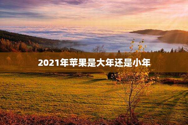 2021年苹果是大年还是小年