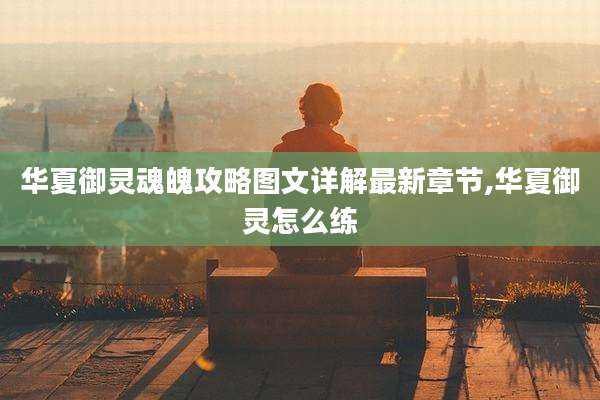 华夏御灵魂魄攻略图文详解最新章节,华夏御灵怎么练