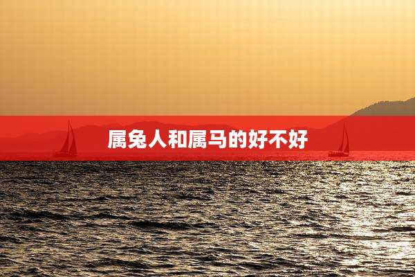 属兔人和属马的好不好