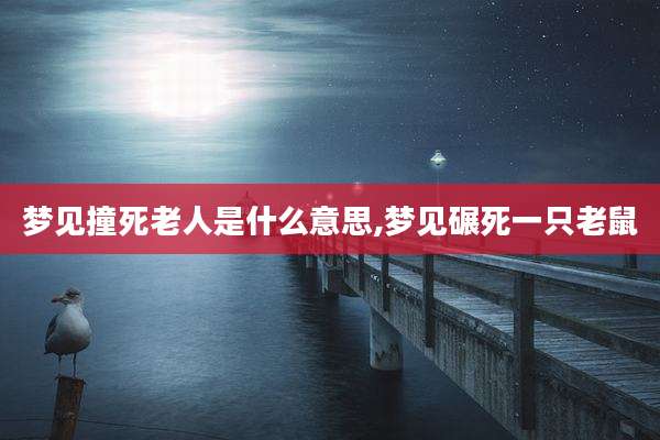 梦见撞死老人是什么意思,梦见碾死一只老鼠