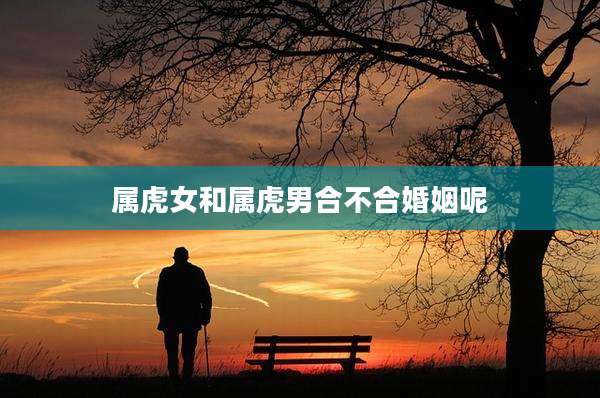 属虎女和属虎男合不合婚姻呢