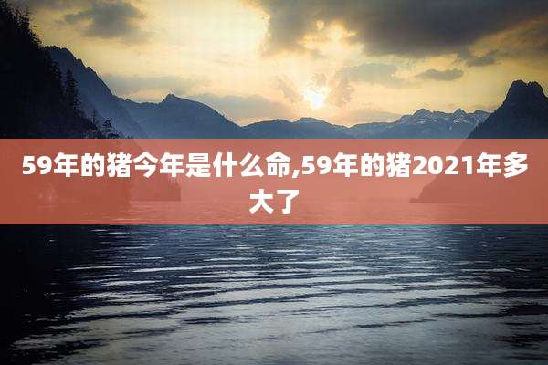 59年的猪今年是什么命,59年的猪2021年多大了