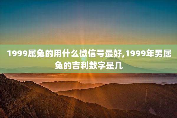 1999属兔的用什么微信号最好,1999年男属兔的吉利数字是几
