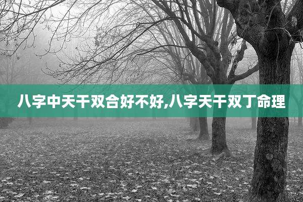 八字中天干双合好不好,八字天干双丁命理