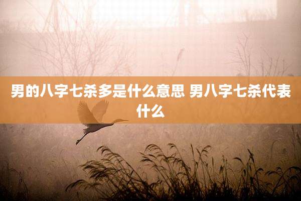 男的八字七杀多是什么意思 男八字七杀代表什么