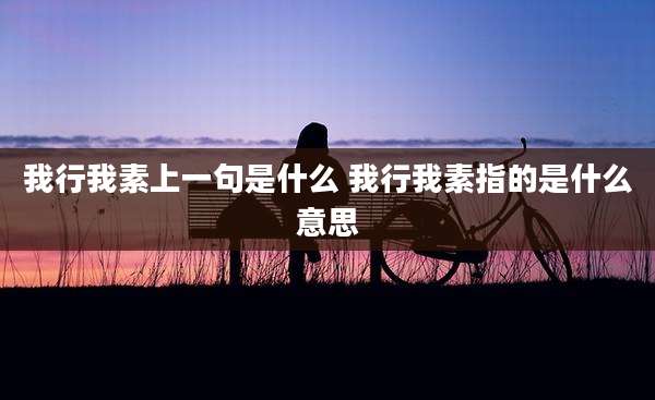 我行我素上一句是什么 我行我素指的是什么意思