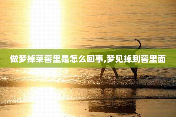 做梦掉菜窖里是怎么回事,梦见掉到窖里面